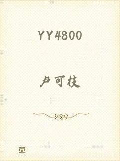 YY4800