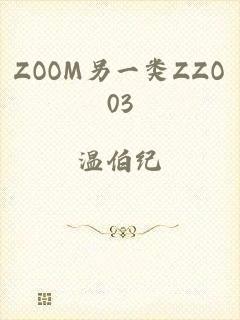 ZOOM另一类ZZO03