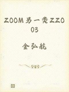 ZOOM另一类ZZO03