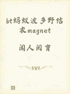 bt蚂蚁波多野结衣magnet