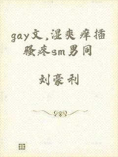 gay文,湿爽痒插骚疼sm男同