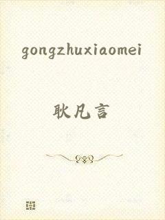 gongzhuxiaomei