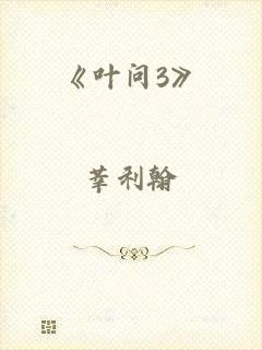 《叶问3》