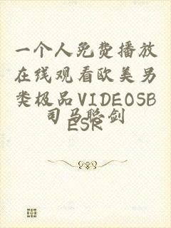 一个人免费播放在线观看欧美另类极品VIDEOSBESR