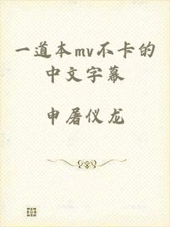 一道本mv不卡的中文字幕