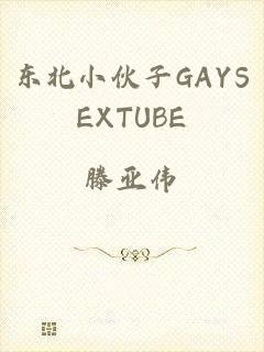 东北小伙子GAYSEXTUBE