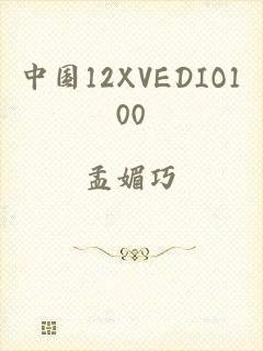 中国12XVEDIO100