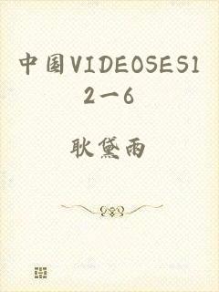 中国VIDEOSES12一6
