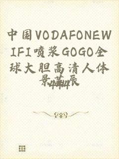 中国VODAFONEWIFI喷浆GOGO全球大胆高清人体444