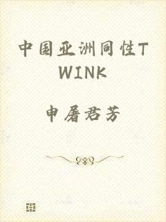 中国亚洲同性TWINK