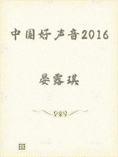 中国好声音2016