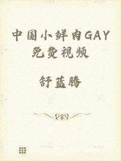 中国小鲜肉GAY免费视频