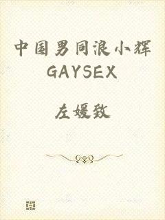 中国男同浪小辉GAYSEX