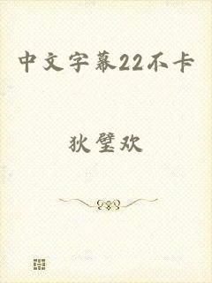 中文字幕22不卡