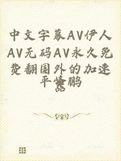 中文字幕AV伊人AV无码AV永久免费翻国外的加速器