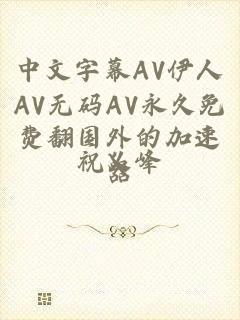 中文字幕AV伊人AV无码AV永久免费翻国外的加速器