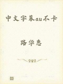 中文字幕au不卡