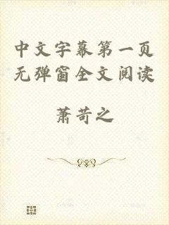 中文字幕第一页无弹窗全文阅读