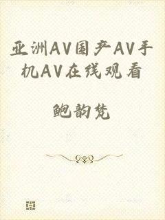 亚洲AV国产AV手机AV在线观看