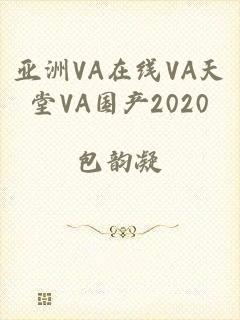 亚洲VA在线VA天堂VA国产2020