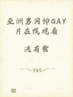 亚洲男同帅GAY片在线观看