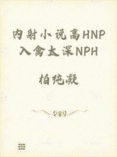 内射小说高HNP入禽太深NPH