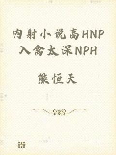 内射小说高HNP入禽太深NPH