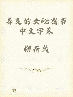 善良的女秘密书中文字幕