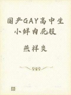 国产GAY高中生小鲜肉屁股