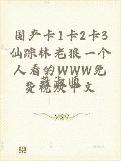 国产卡1卡2卡3仙踪林老狼一个人看的WWW免费视频中文