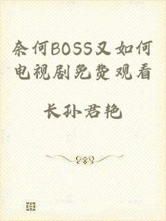 奈何BOSS又如何电视剧免费观看