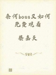 奈何boss又如何免费观看