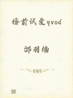 婚前试爱qvod