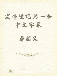 宏伟世纪第一季中文字幕