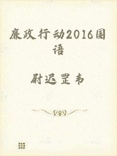 廉政行动2016国语