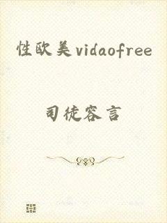 性欧美vidaofree