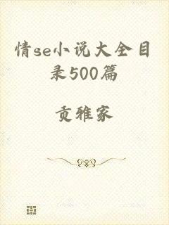 情se小说大全目录500篇