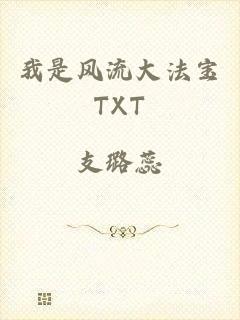 我是风流大法宝TXT