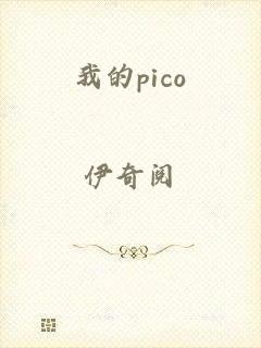 我的pico