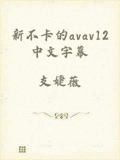 新不卡的avav12中文字幕
