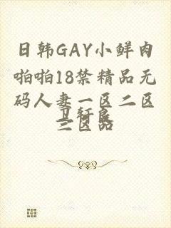 日韩GAY小鲜肉啪啪18禁精品无码人妻一区二区三区品