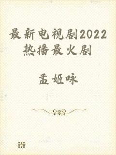 最新电视剧2022热播最火剧