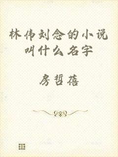 林伟刘念的小说叫什么名字