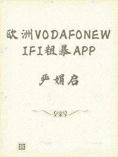 欧洲VODAFONEWIFI粗暴APP