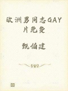 欧洲男同志GAY片免费