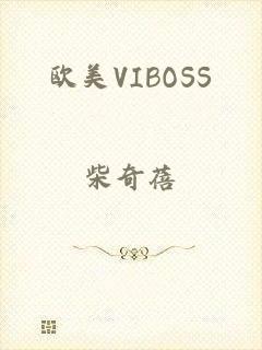 欧美VIBOSS