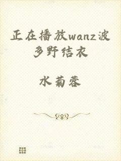 正在播放wanz波多野结衣