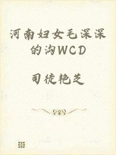 河南妇女毛深深的沟WCD