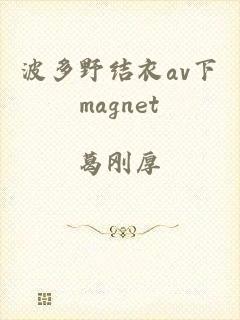 波多野结衣av下magnet