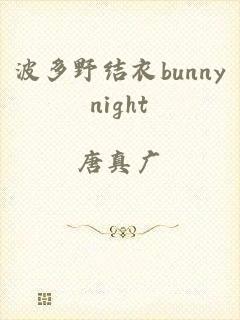 波多野结衣bunnynight